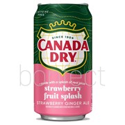 Canada Dry Fruit Splash Strawberry Ginger Ale Soda Can 355ml12