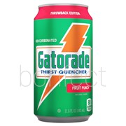 Gatorade Thirst Quencher Fruit Punch Sports Drink Cans 343ml  24 Pack