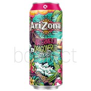 Arizona Watermelon Dragonfruit Splash 650ml  24 Pack